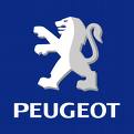 Autohoes voor de Peugeot